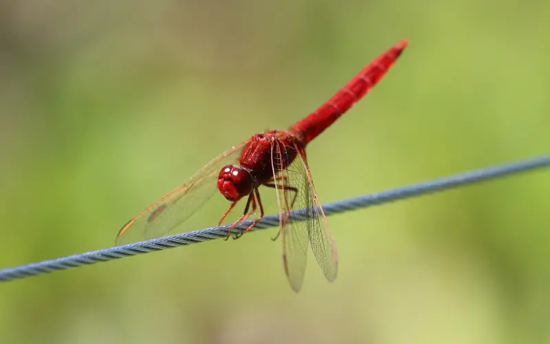 只凭意念能挽回爱情吗？