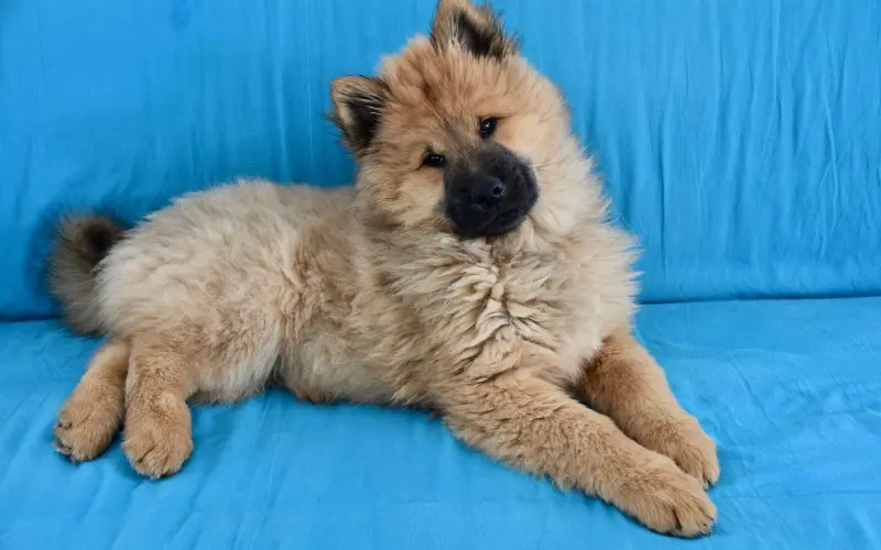 感情淡了还能挽回吗？女生分手后怎样挽回爱情