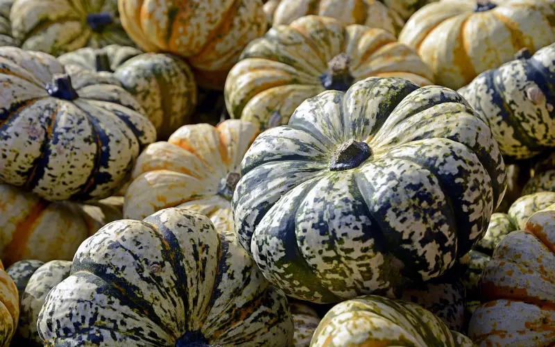 生肖不合真的不能在一起吗？