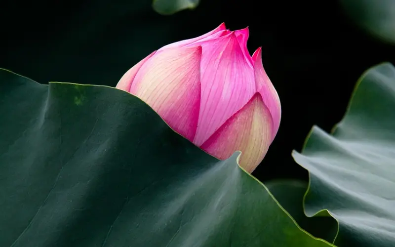 短时间内抱得美人归？你要这样聊