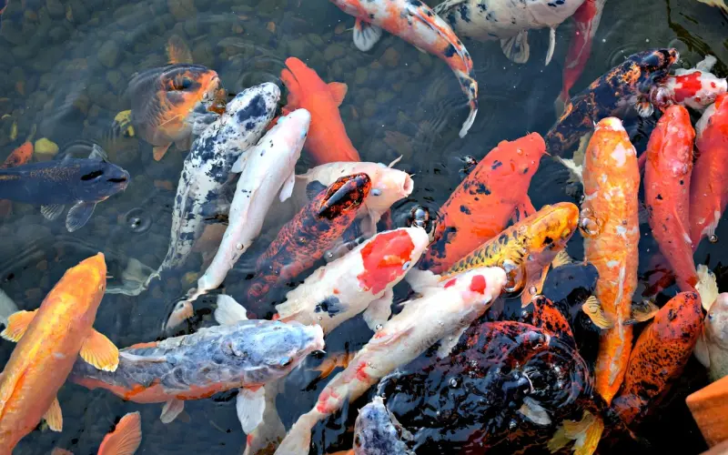 伤害一个人还能用行动挽回来吗