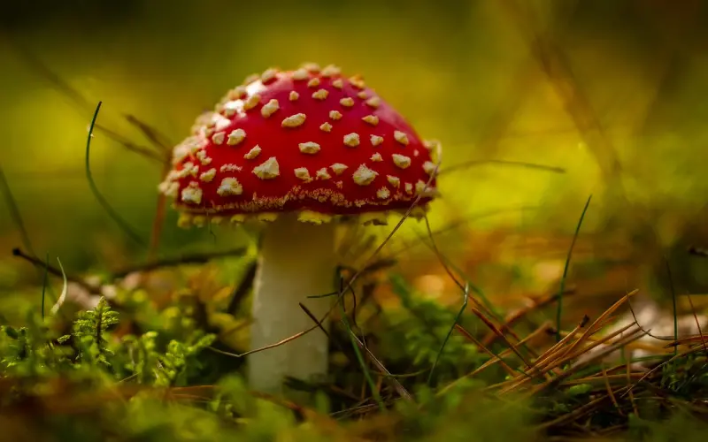 男人的“真爱”和“假爱”，你分得清吗？