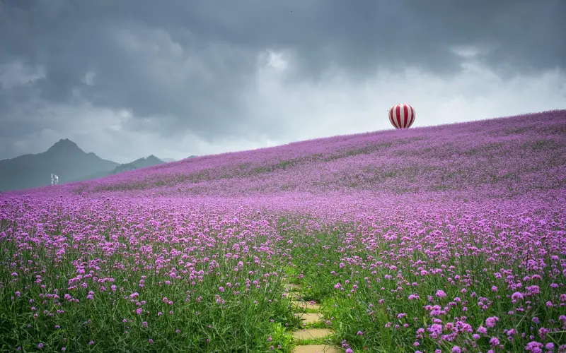 你变的优秀就能挽回男友吗？如何提高挽回几率？