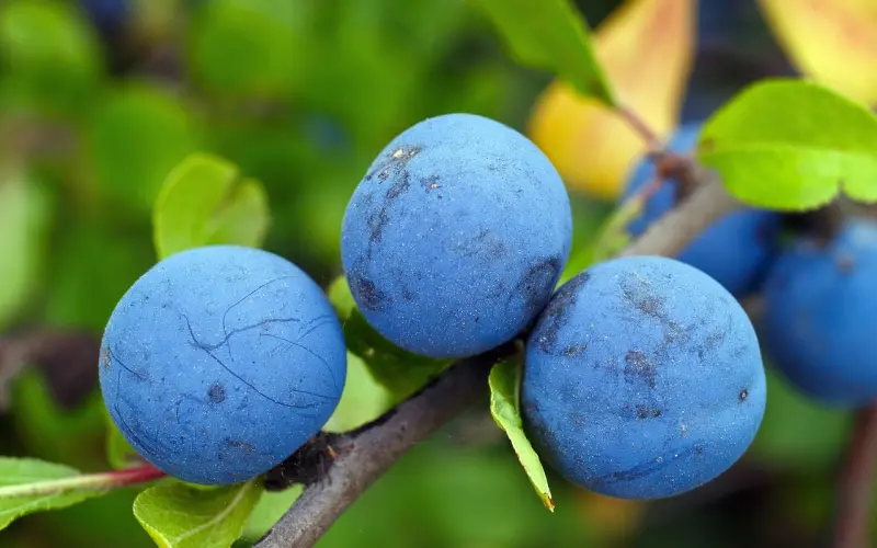 央视主持人李咏去世：这种爱情观值得所有人学习！