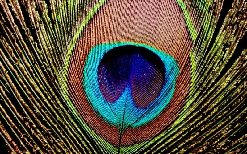 改变是一种自然而然的东西