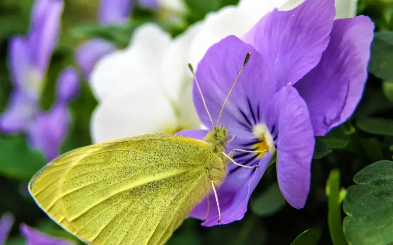 500个出轨男人聊天实录曝光：你所谓的婚姻，不过是一场秀！