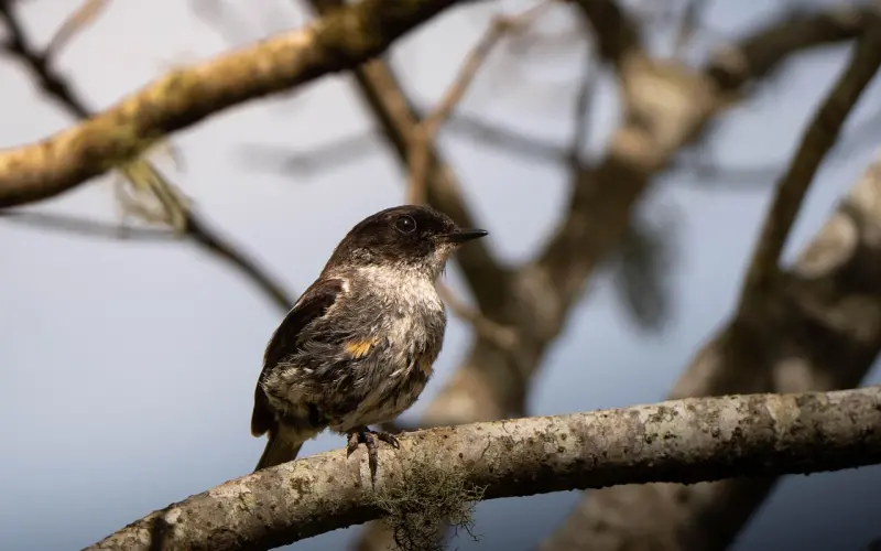 聊|用这几句话挑逗妹子绝对让她对你怦然心动