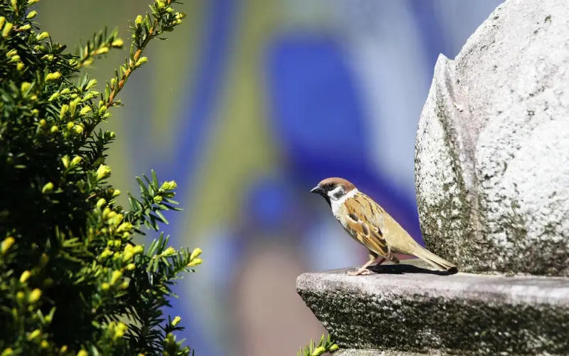 聊天就像查户口？那是因为你不知道这个……