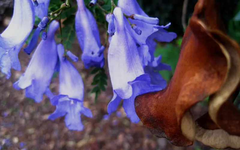 这几个星座出轨很难被发现
