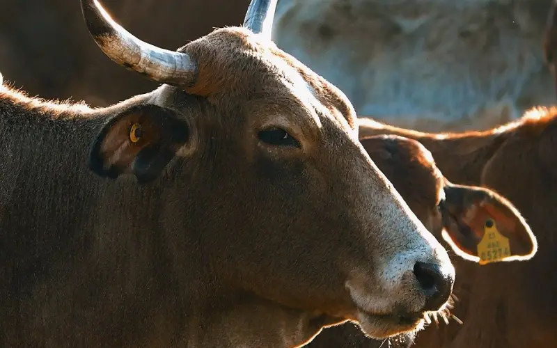 《中国把妹达人》 序：突然而来的结局 03