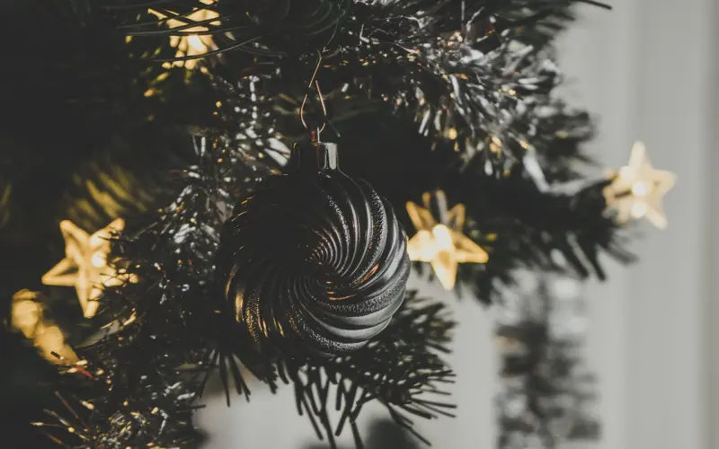 圣诞温情特别篇：爱在音乐节邂逅之后