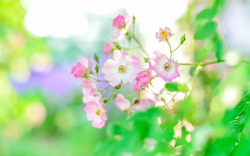 初夏：女人在聊天当中给你的暗示！