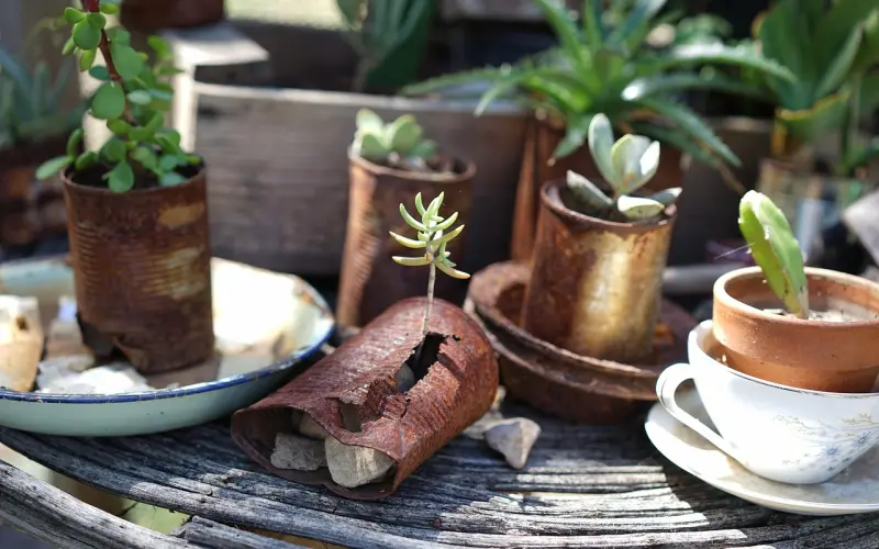 朋友圈感悟人生的经典短语 发朋友圈最新人生感悟哲理经典句子