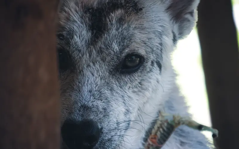 ?父母逼婚经典句式?——随手分享伤害朋友圈！