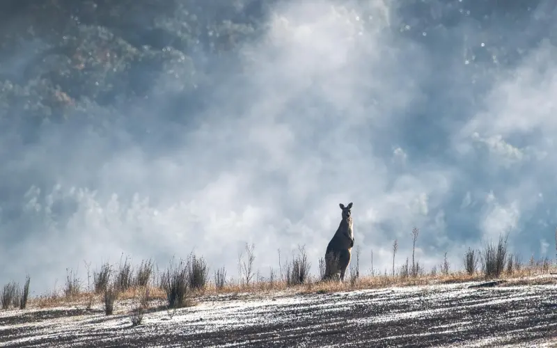 《超时空同居》：我选择有钱人