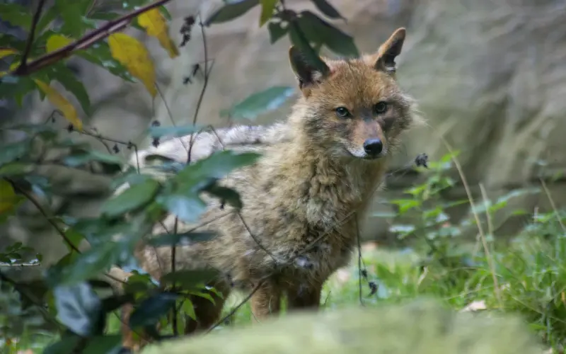冷爱：如果你因为身高而自卑