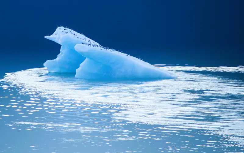 冷爱问答 | 这一点暴露了你想分手，还是在一起