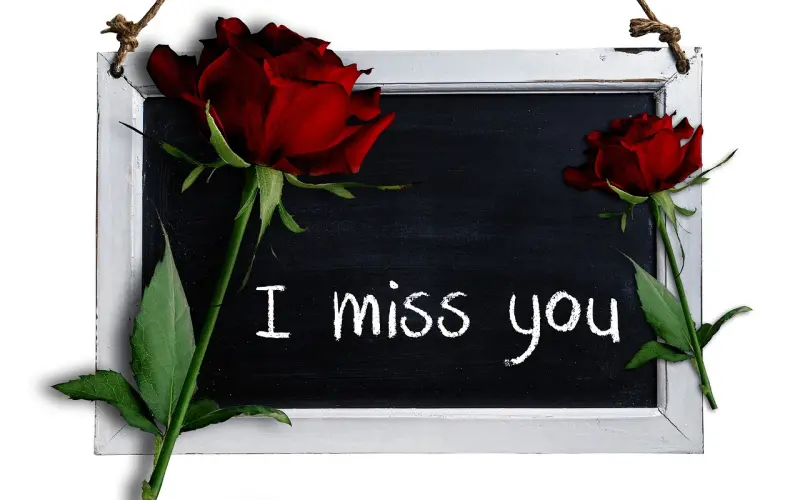 来跟我一起过中秋吧！