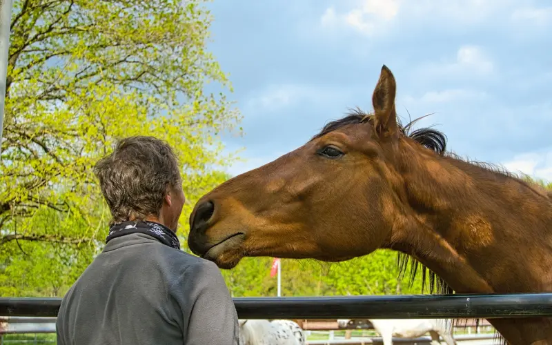 挽回男友全攻略：教你快速挽回男友的方法