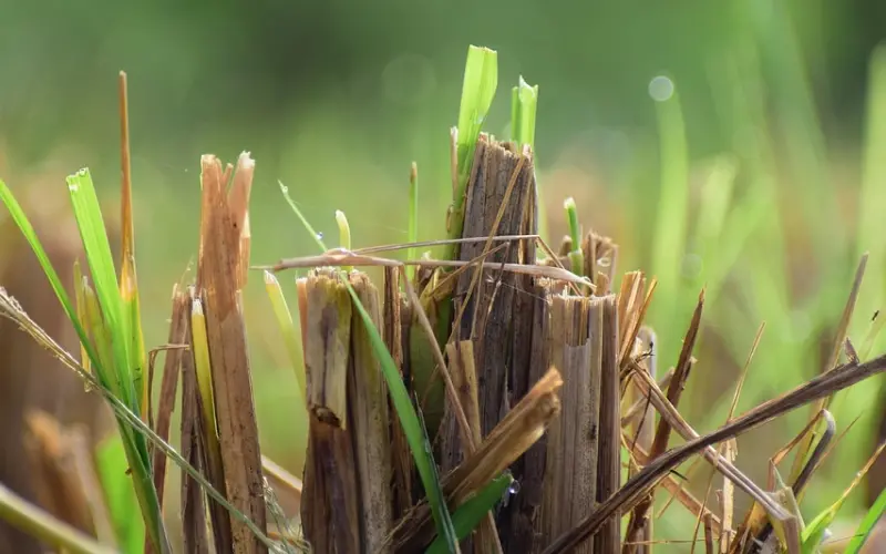复合大师康纳：你的哪些行为，可以让异性觉得你俩再合适不过？