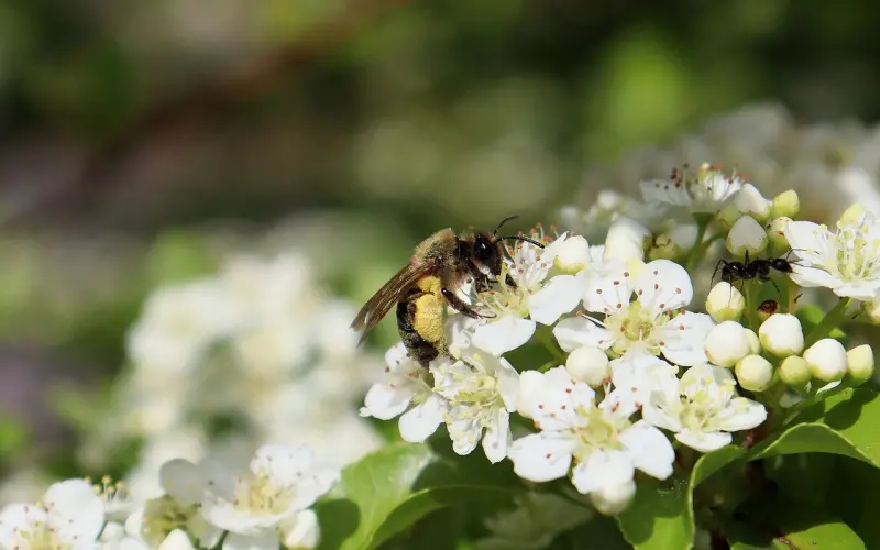 倾诉：被女朋友闺蜜称为渣男, 我该怎么办?