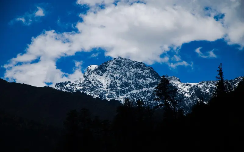 恭喜你，成为史上最作的姑娘！