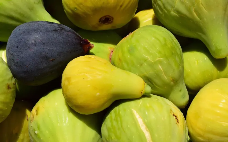 深圳情感咨询公司康纳：男人随时准备着出轨，我也不例外