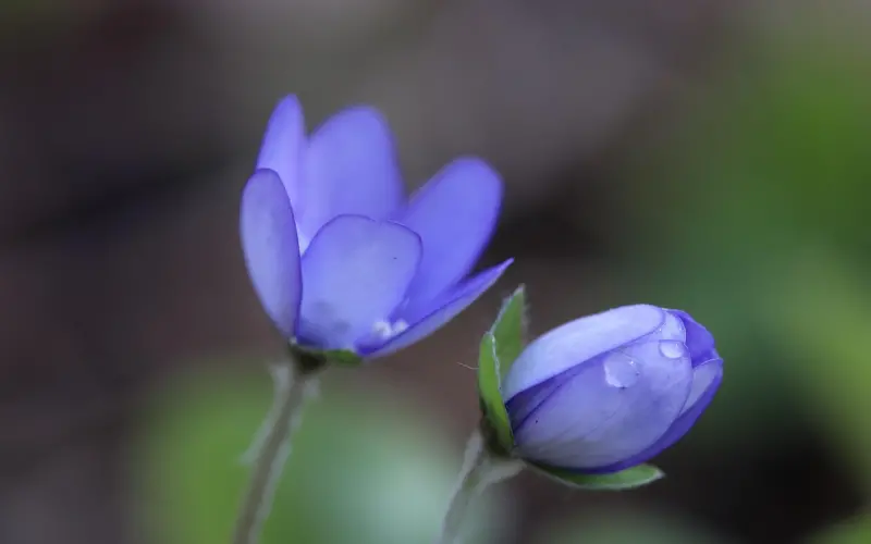 挽回调解夫妻感情婚姻问题咨询，专家一对一咨询在线服务，为您“保家护航”。崔老师的咨询价格在2017年8月份开始涨价到6000元。