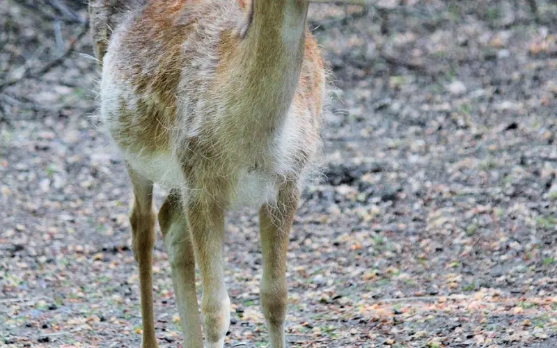 跟前任联系了？挽回爱情该如何跟前任保持正确联系的注意事项