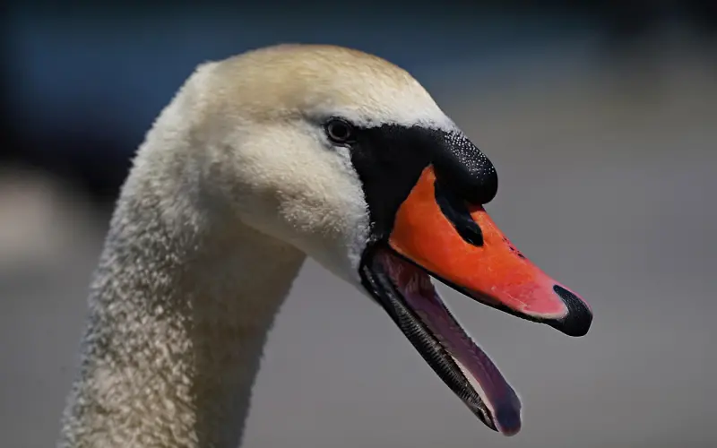 情侣经常吵架 该如何管理冲突挽回爱情