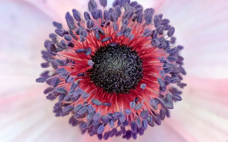 情侣之间，这十件“恶心事”，做过两件以上的，一定是真爱！