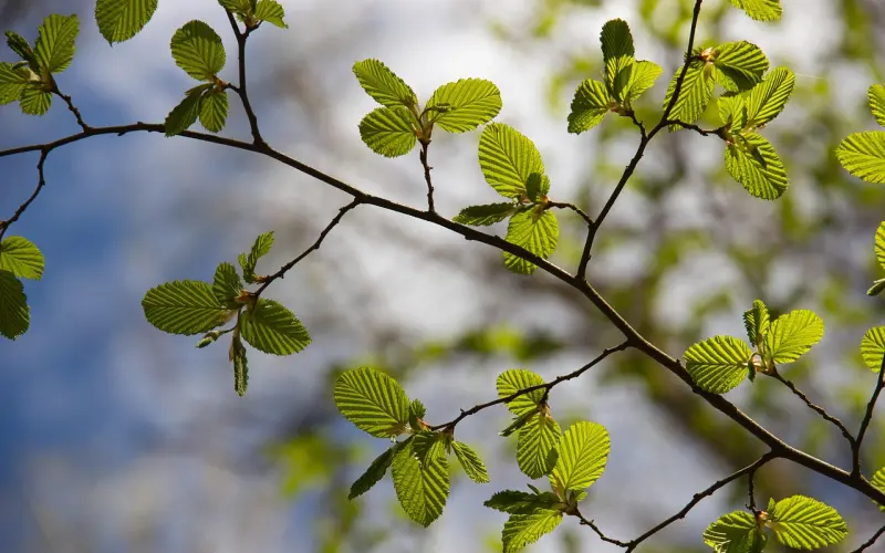 【一号法庭】同居女友劈腿高富帅，爱车索赔被驳回