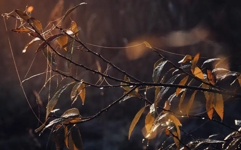 百发百中！热辣露肉季的出街装扮必须射出一发