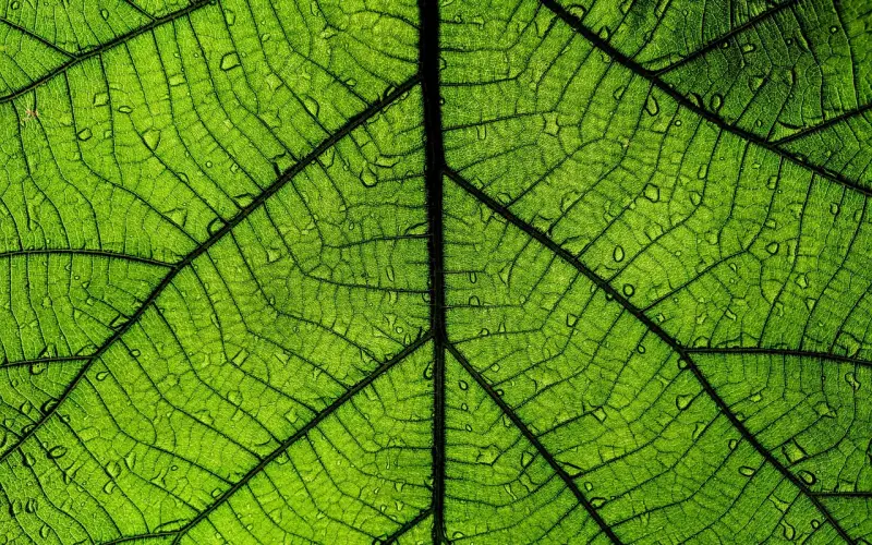 大湿毕生绝学，微信泡妞