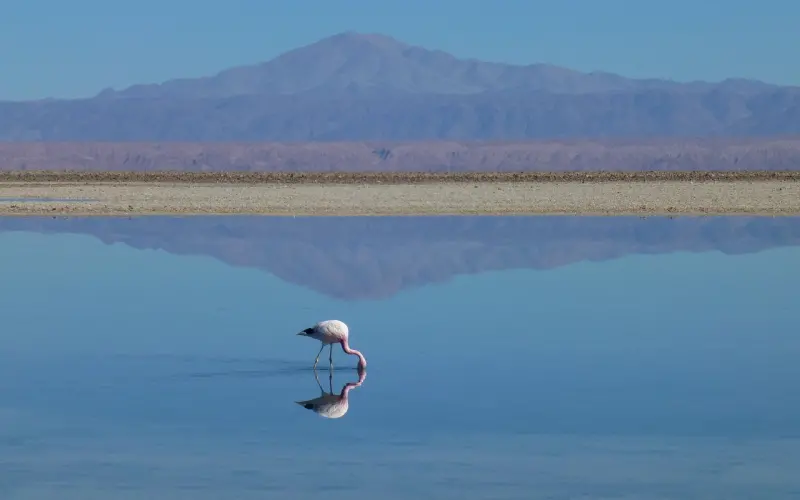朋友个屁哦，我只想跟你老死不相往来