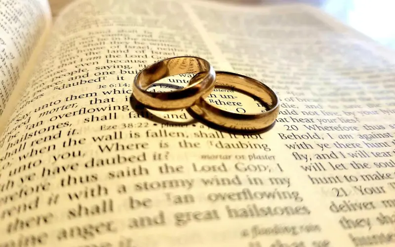 献给未婚，已婚，离婚，单身女性！好透彻的一番话