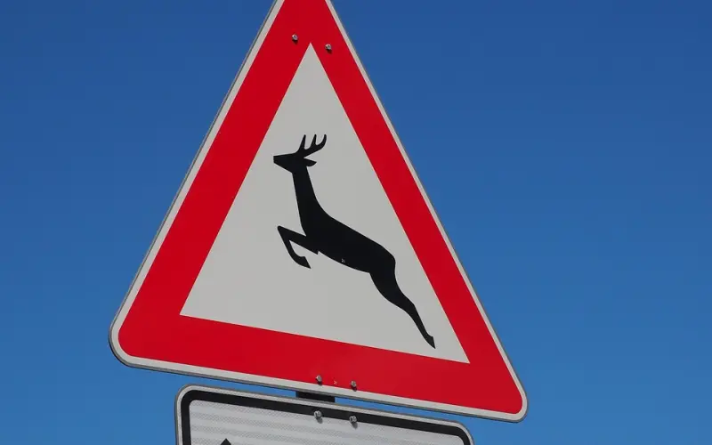 删除一个人，你一定寒心过