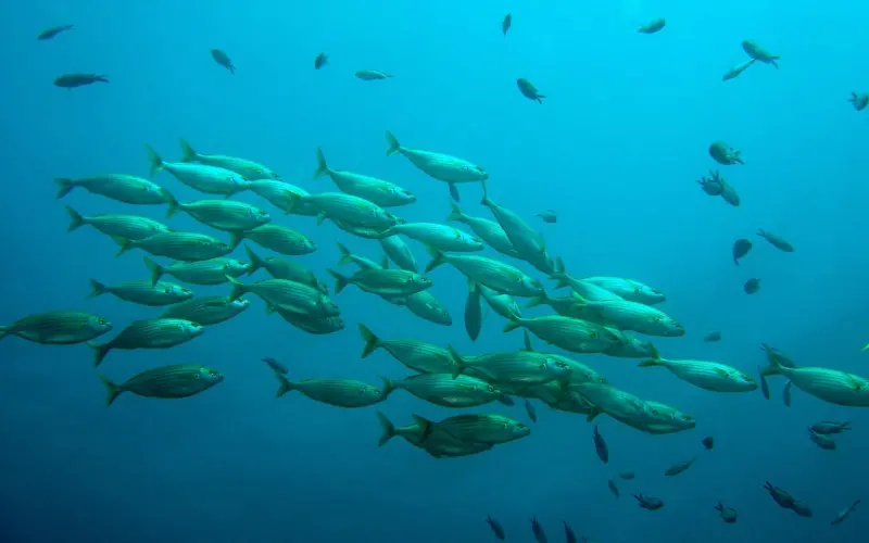 一撸毁所有？在戒色吧，我却看到了一群真正的Loser