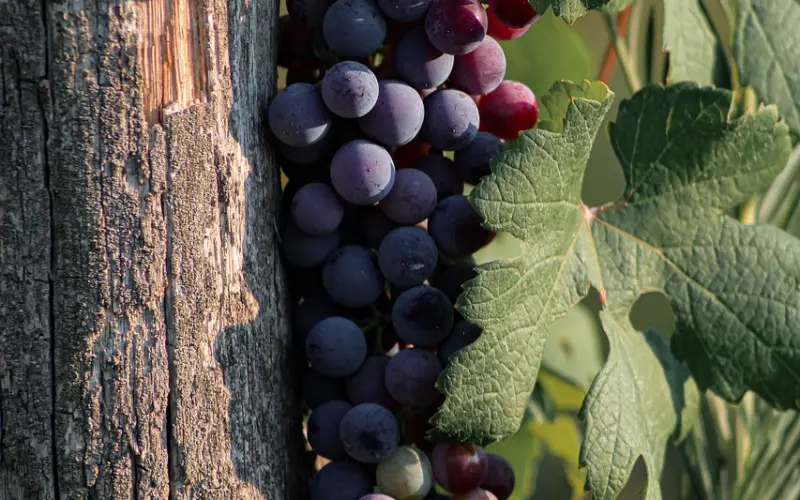 不同的分手阶段，采取不同的挽回技巧！