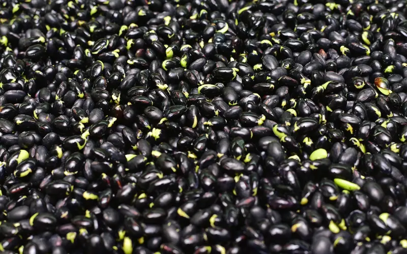 饭局修养（必读）