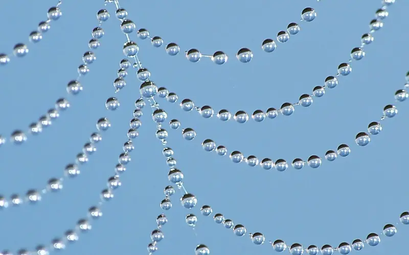 双宋离婚、晨冰分手：比爱情更可怕的是三观