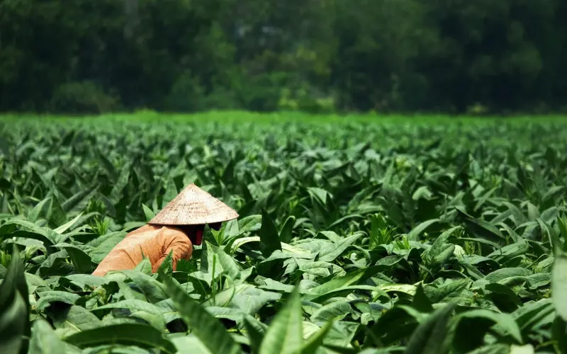 离婚其实很简单，再婚也不是很难！关键是再婚后你能保证换个人后就会幸福吗？