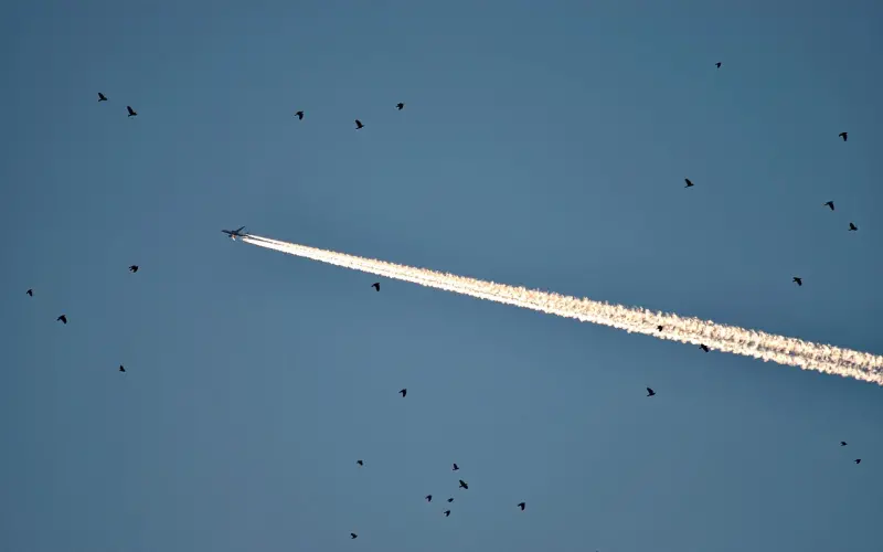 离婚或许是人生的低潮，但它不是死牢丨晚安故事