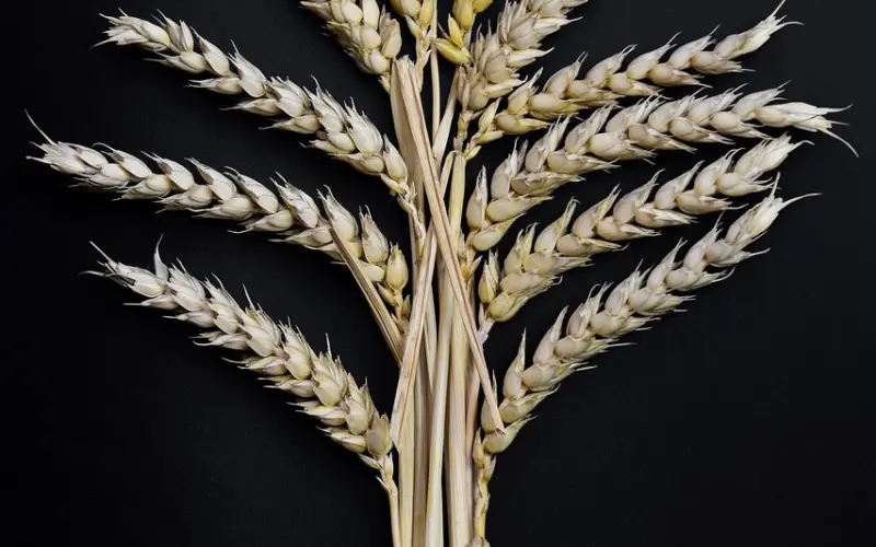 离婚挽回？老公出轨小三如何做