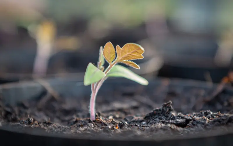 男生真的更喜欢所谓的微胖女生吗？