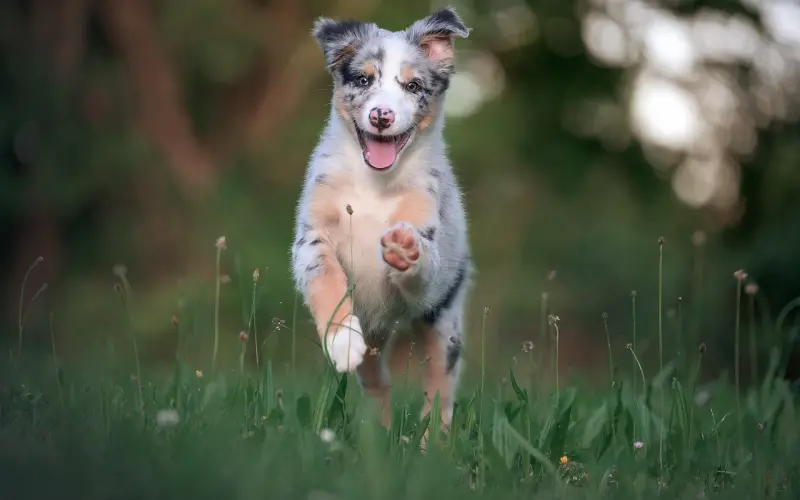 没有女朋友的男生 还想成为单身狗么？