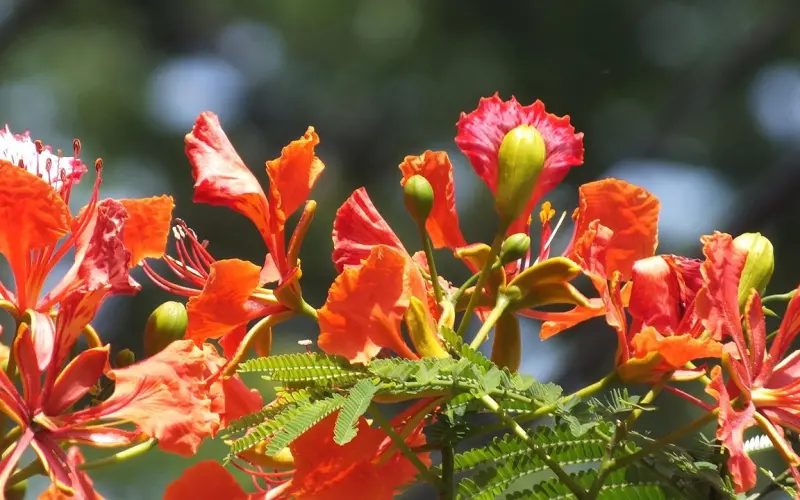 我要嫁给帅的？还是有钱的？