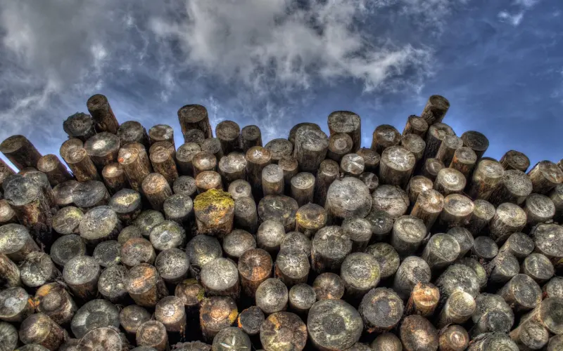 你喝酒断片吗？恭喜你，你已经……