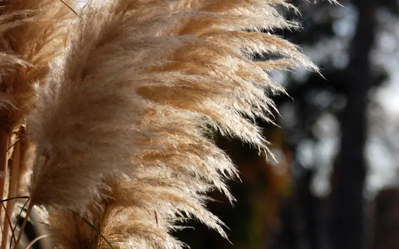 是不是一定要结婚？