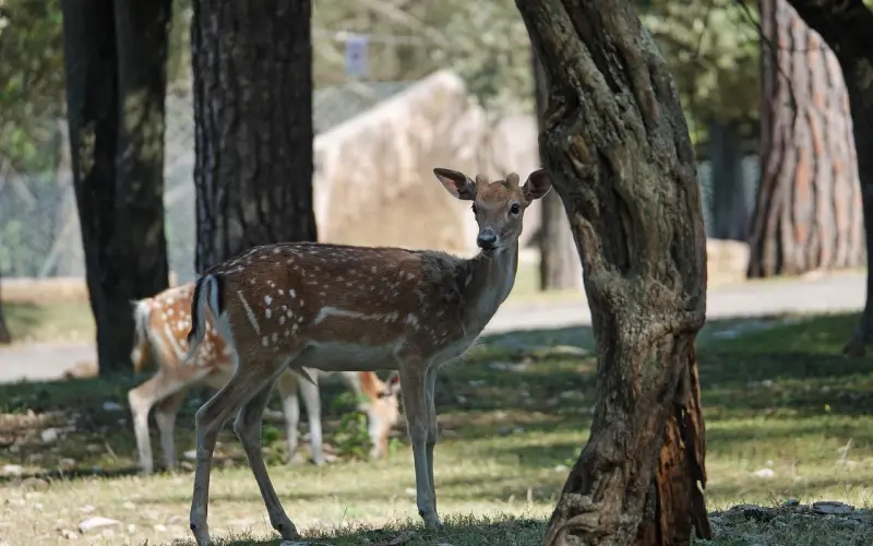 情侣吵架的水有多深你知道吗？